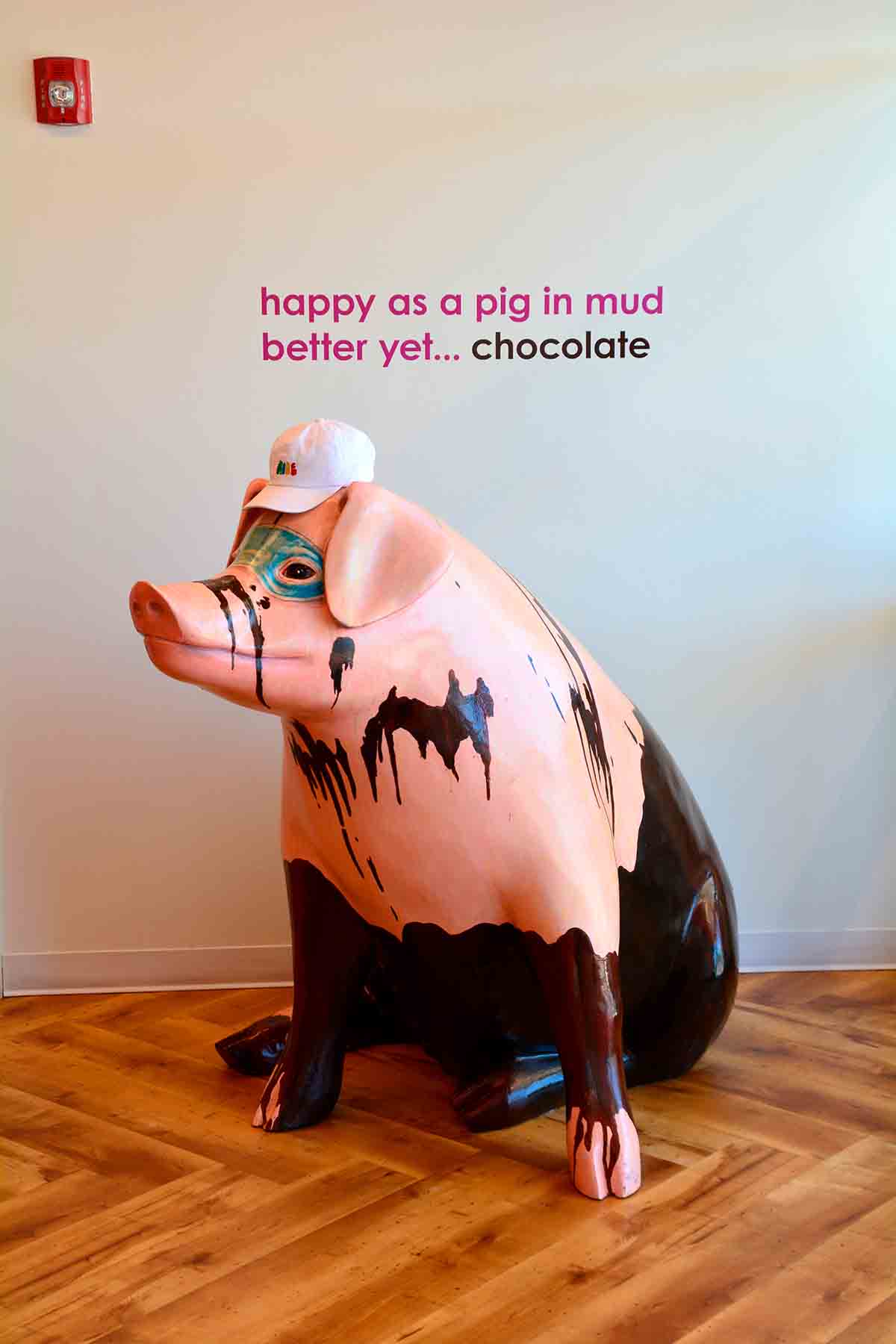 巧克力覆盖猪在西雅图巧克力之旅